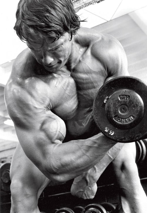 arnold-concentration-curl