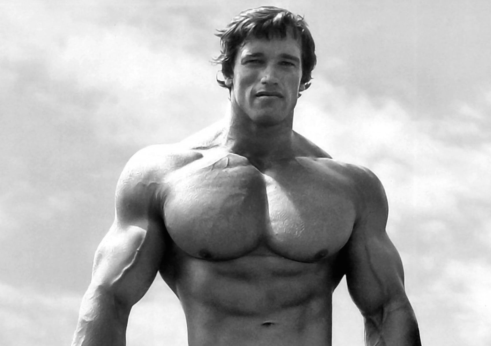 arnold-schwarzenegger-square-pecs