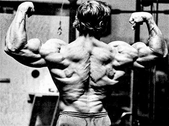 arnold-schwarzeneggers-mammoth-chest-and-back-workout_graphics_arnold-series-3