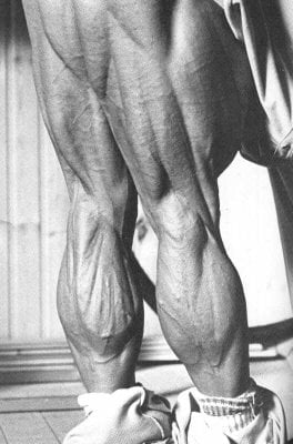 tom-platz-hamstrings